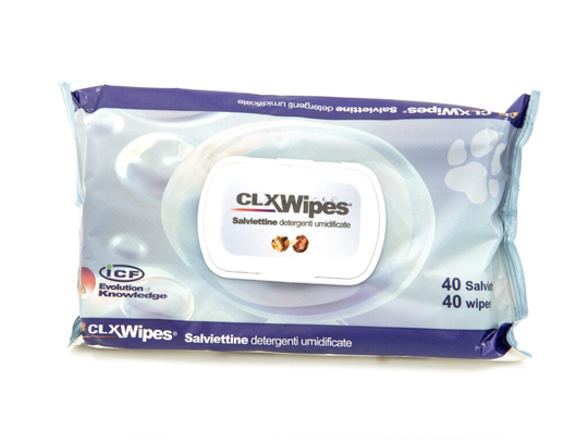 CLX Wipes Pocket 20 kpl kostea puhdistuspyyhe