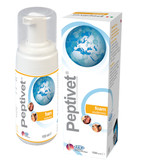 Peptivet Foam Solution vaahtoliuos 100 ml