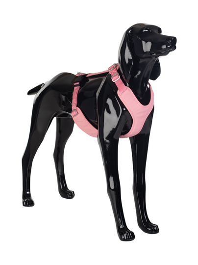Visibility harness for dogs pink