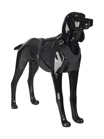 Visibility harness for dogs dark
